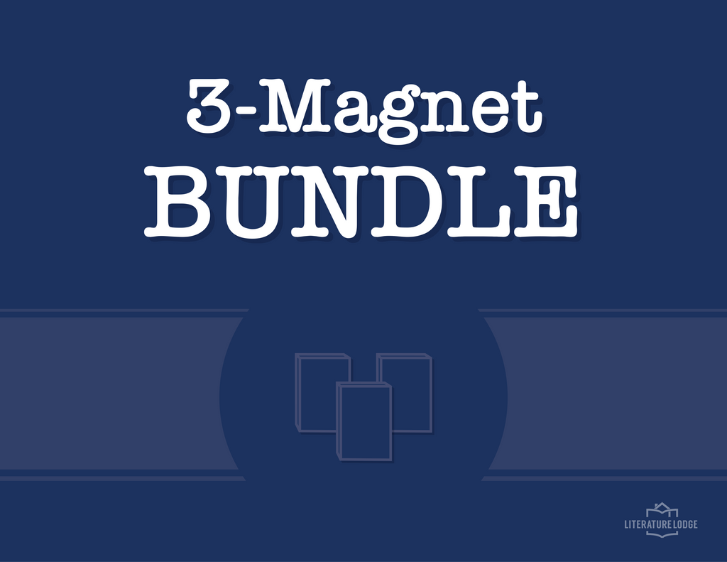 3 Magnet Bundle