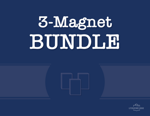3 Magnet Bundle